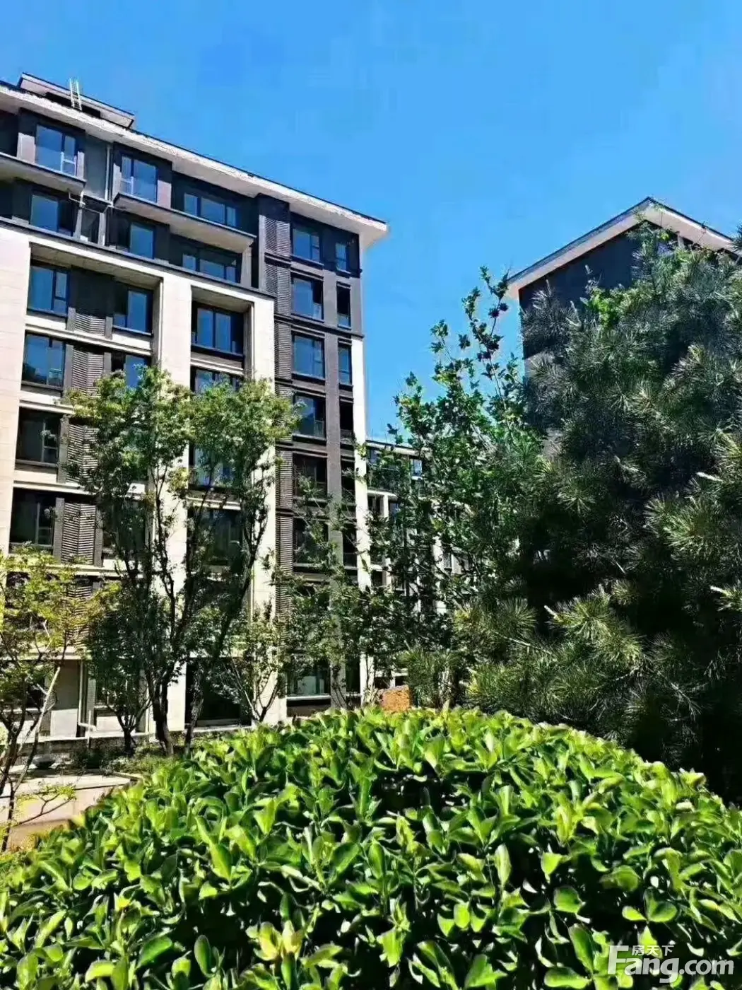 皓顺府好不好？置业顾问从项目现场发回新鲜组图