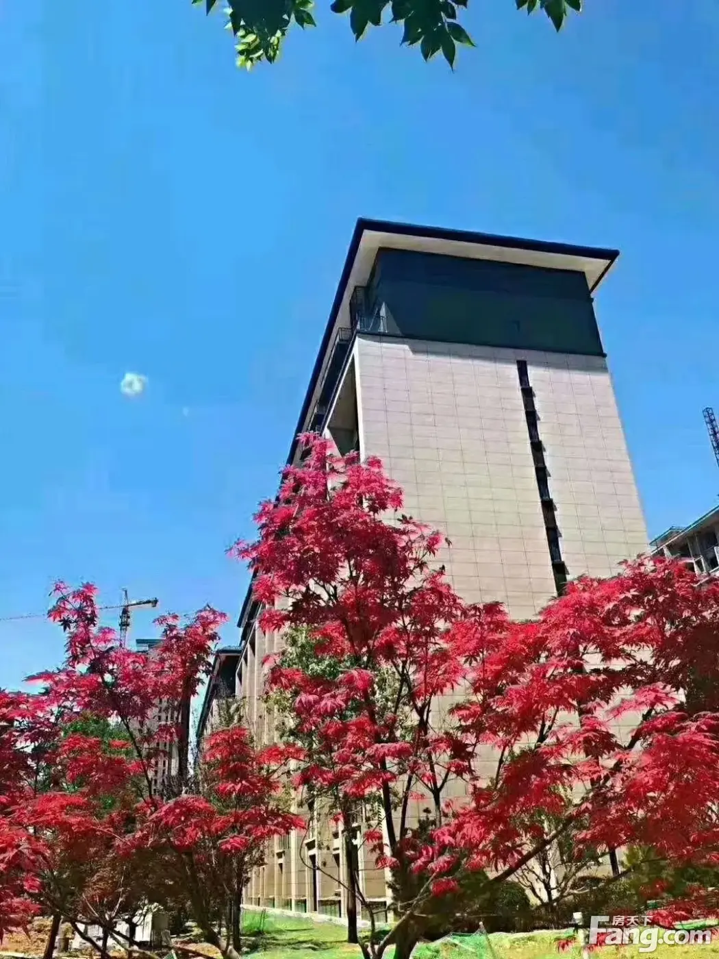 皓顺府好不好？置业顾问从项目现场发回新鲜组图