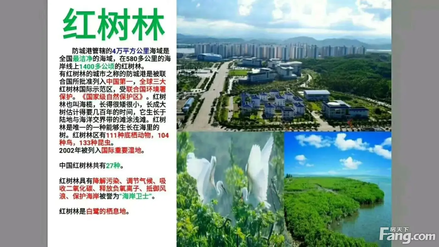桂海东盟商贸中心怎么样？看现场置业顾问发布了5条项目新消息！