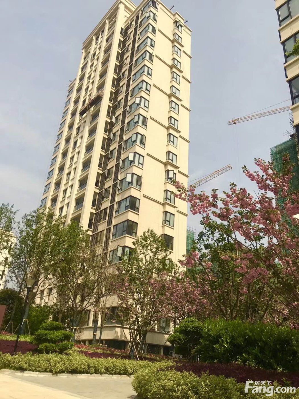上海建工海玥名邸怎么样？看现场置业顾问发布了5条项目新消息！