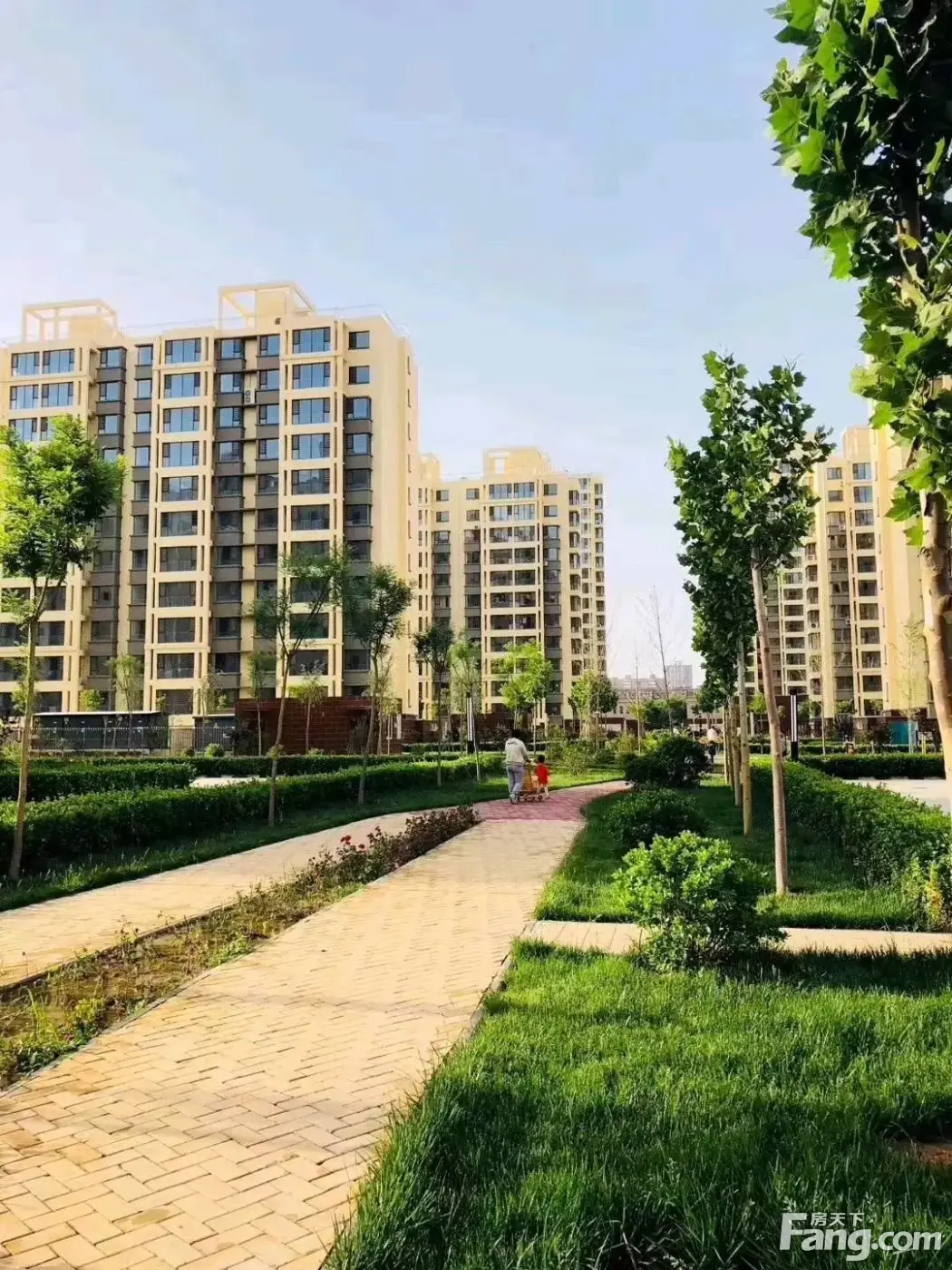隆兴宜居怎么样看现场置业顾问发布了5条项目新消息