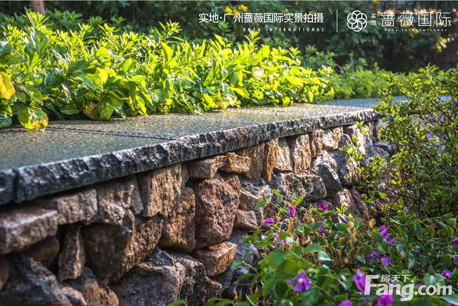 实地·广州蔷薇花园怎么样？看置业顾问林壮阳发布了一条项目新消息！