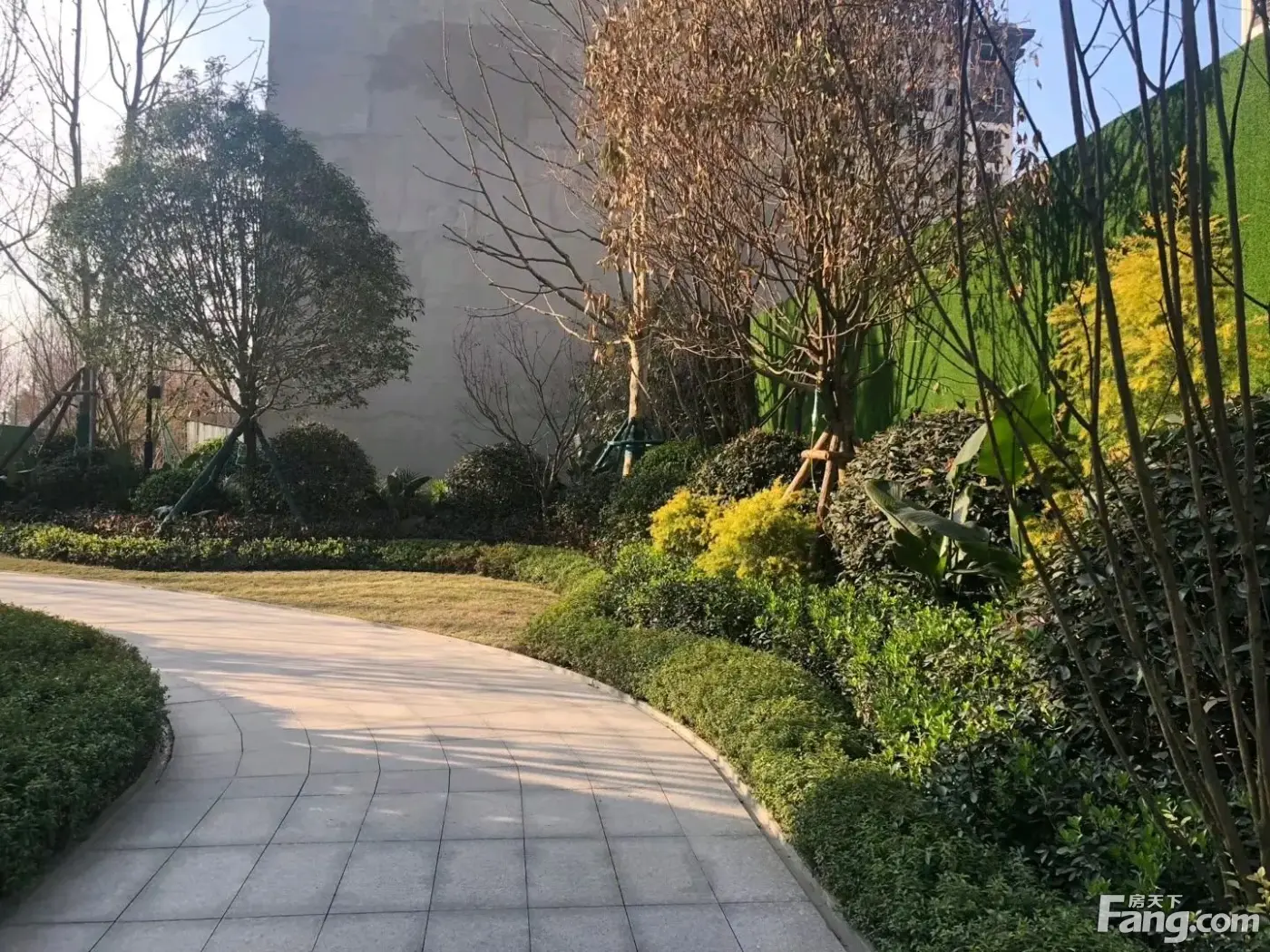 中南樾府怎么样?看现场置业顾问发布了5条项目新消息!