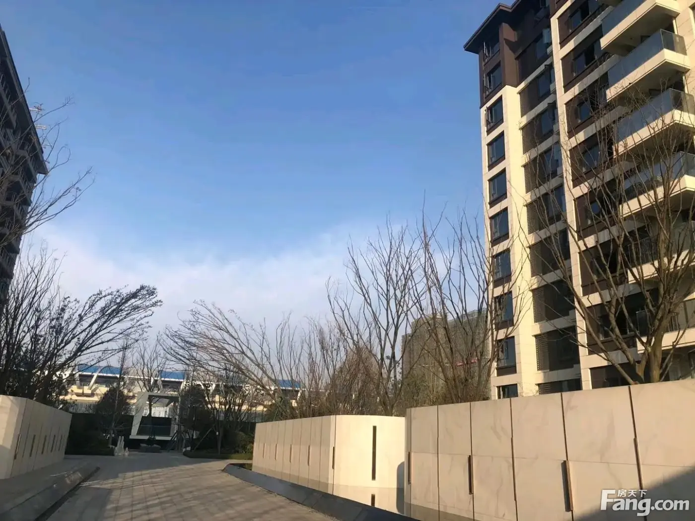 中南樾府怎么样?看现场置业顾问发布了5条项目新消息!