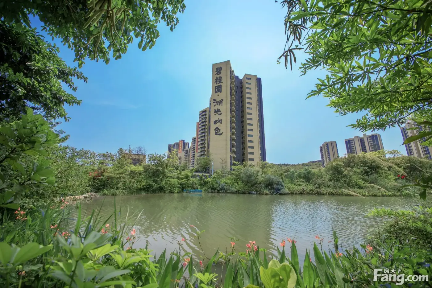 家门口的花园?