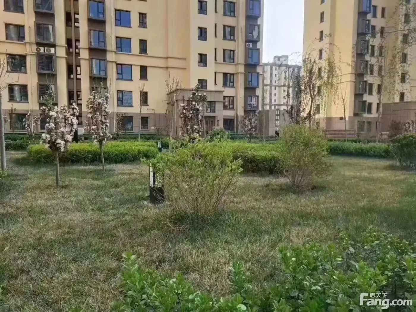 隆兴宜居新拍现场图片,实时了解楼盘新动态-衡水新房网-房天下