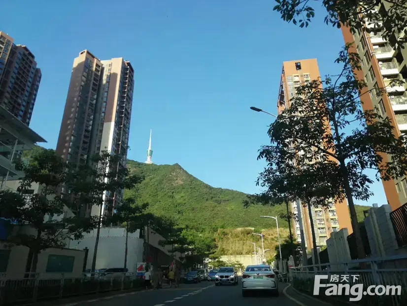 东方凤雅名苑新拍现场谍照实时了解楼盘新动态