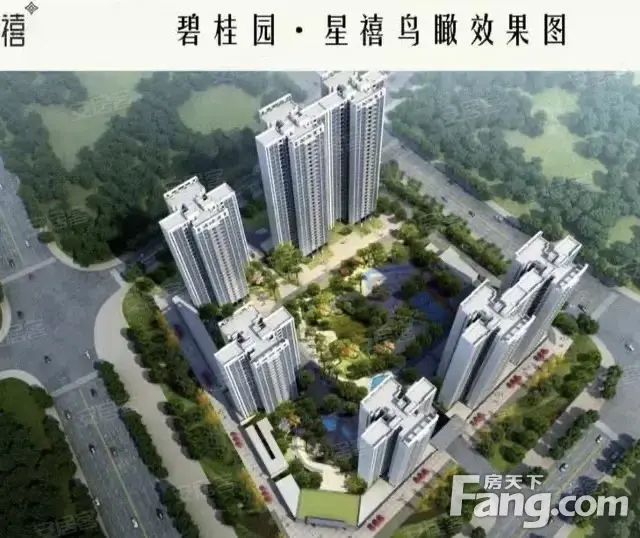 碧桂园星禧好不好置业顾问从项目现场发回新组图