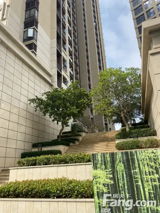 碧桂园观麓花园怎么样?看置业顾问董星辰发布了一条项目新消息!