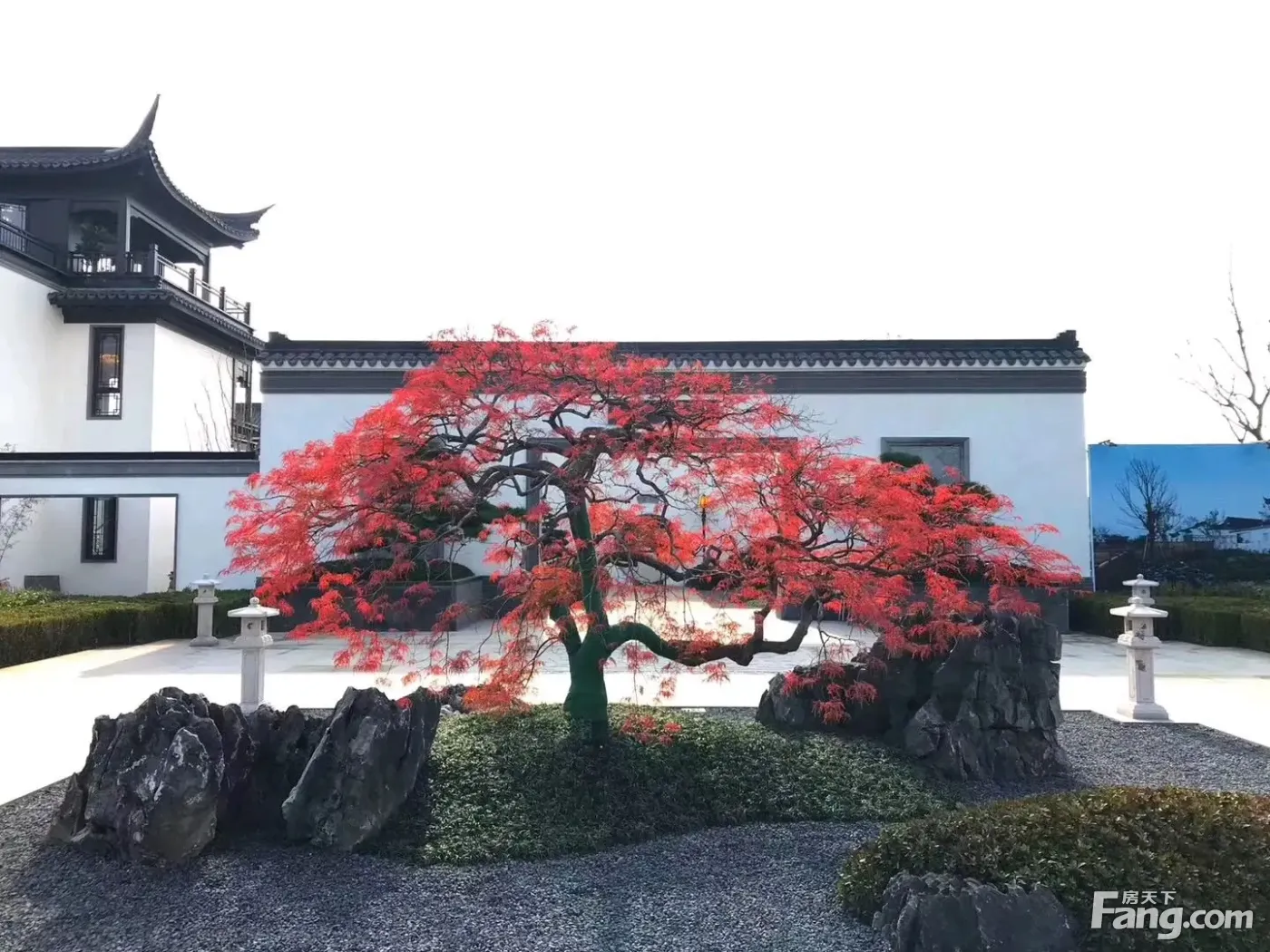 花博汇蓝城·桃李春风图片_样板间图_位置图_装修效果图-武汉房天下