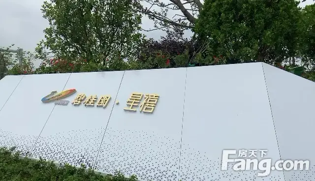 碧桂园星禧新拍短视频实时了解楼盘新动态