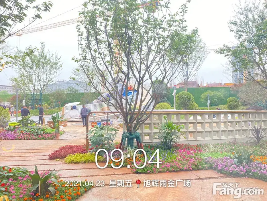 旭辉雨金广场新拍现场图片,实时了解楼盘新动态!