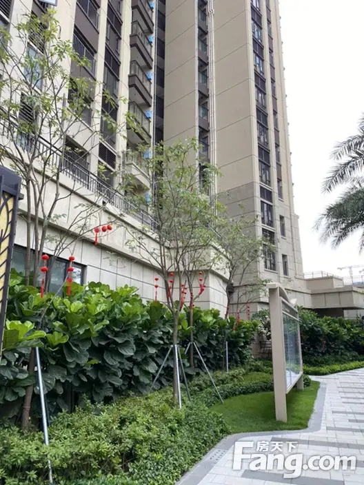 碧桂园观麓花园新拍现场图片,实时了解楼盘新动态!