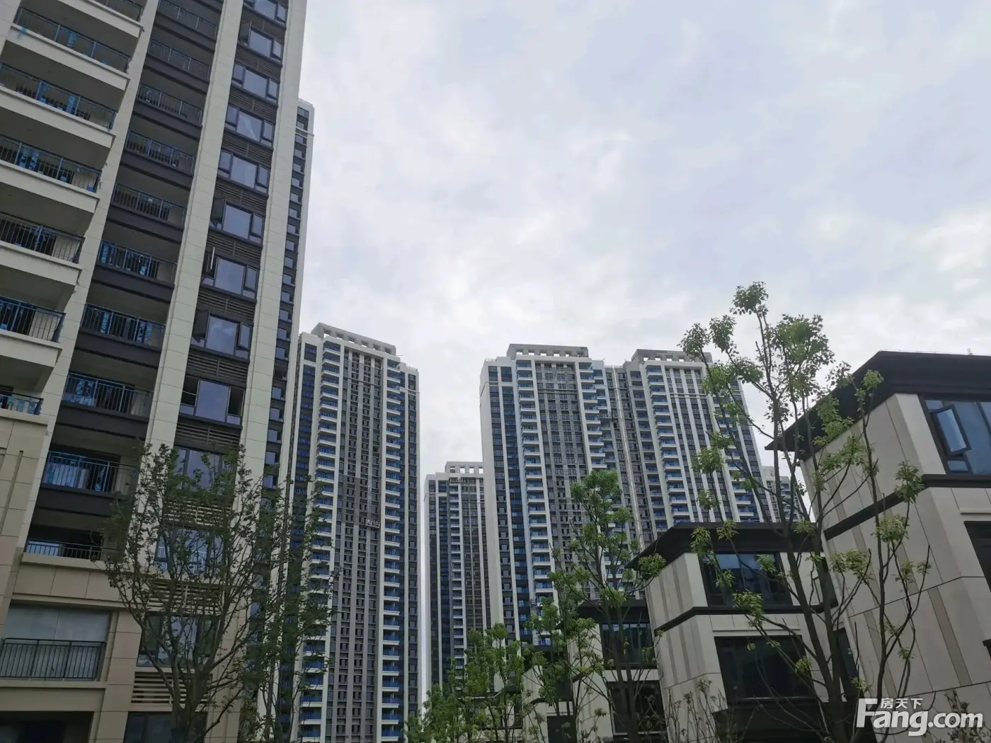 保利和光晨樾怎么样看置业顾问龙金胜发布了一条项目新消息