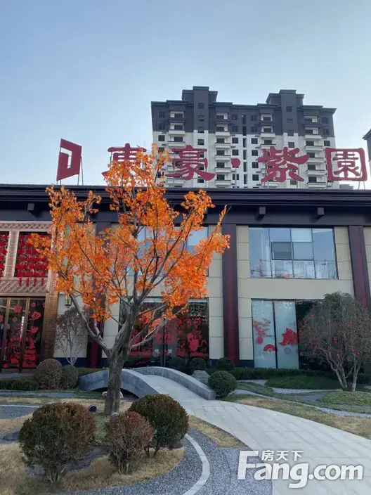 东豪紫园新拍现场图片实时了解楼盘新动态