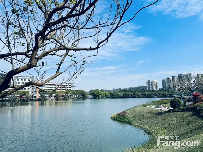 美的·滨湖学府好不好?置业顾问从项目现场发回新鲜组图-佛山新房网-房天下