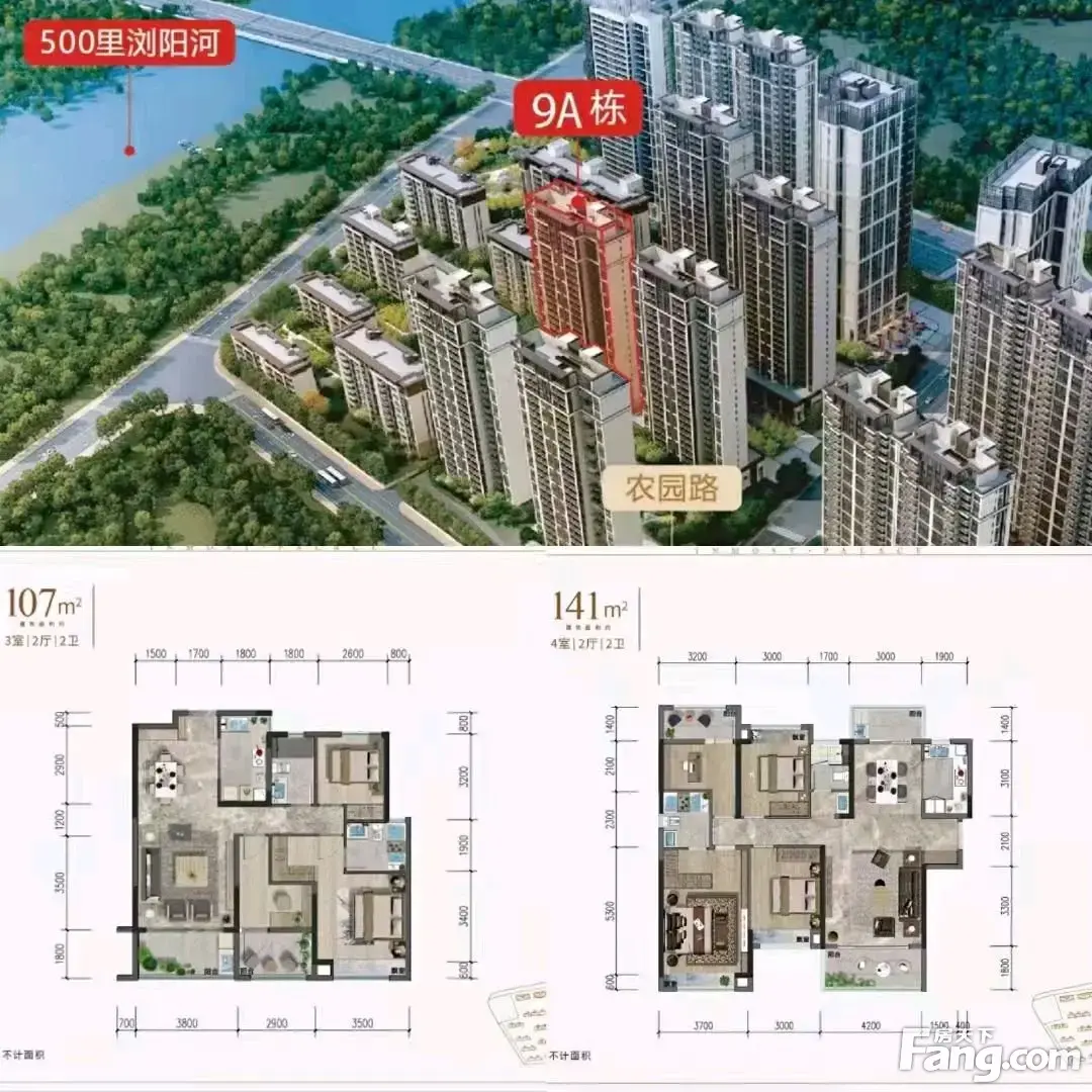 南益名士豪庭新拍现场图片实时了解楼盘新动态