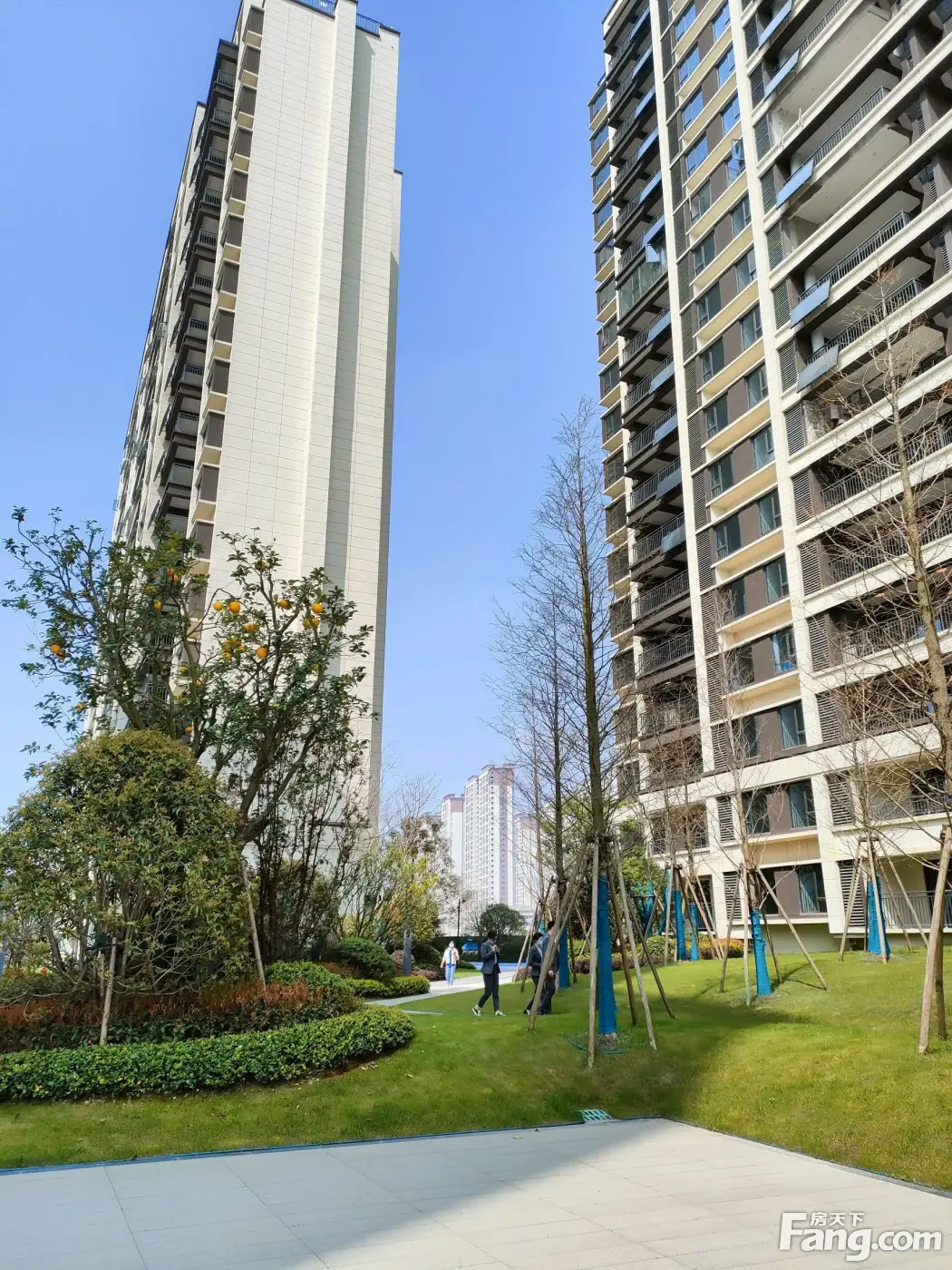 龙湖春江悦茗新拍现场谍照,实时了解楼盘新动态-南昌新房网-房天下