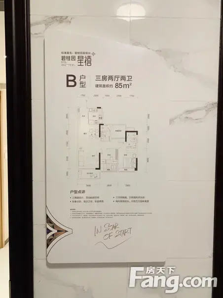 碧桂园星禧新拍现场谍照实时了解楼盘新动态