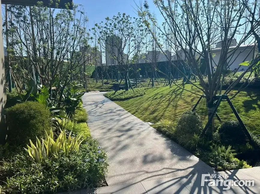 中粮保利天玺壹号怎么样？看现场置业顾问发布了4条项目新消息！-房产资讯-重庆房天下