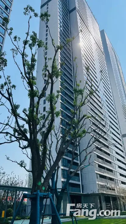 绿城金地凤起听澜新拍现场谍照，实时了解楼盘新动态！-武汉新房网-房天下