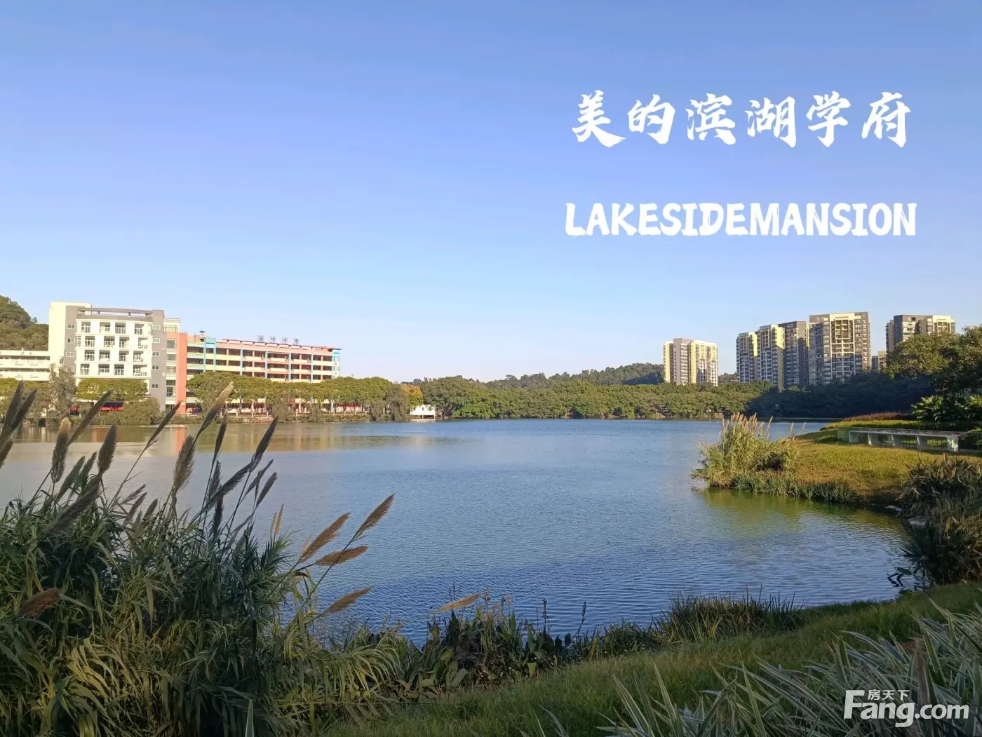 美的·滨湖学府新拍现场谍照,实时了解楼盘新动态!-佛山新房网-房天下