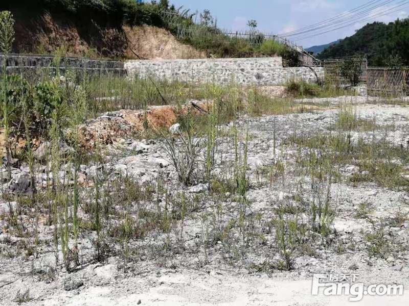 贵定县昌明镇地皮出售900平左右河岸边