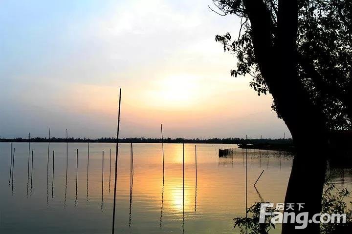 荆州海子湖