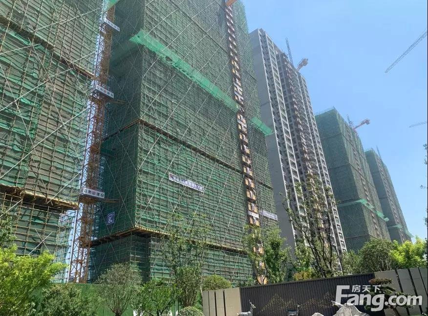 8月工程进度：华鸿·公园天下2#、3#、7#、8#楼外墙排栅已拆
