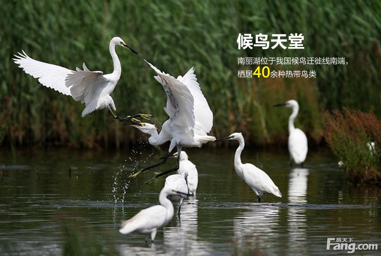 中国中铁•诺德丽湖半岛|与湖相遇 见证品质生活