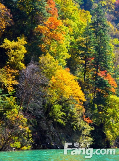 一到十月，瓦屋山彩林就美的过分！
