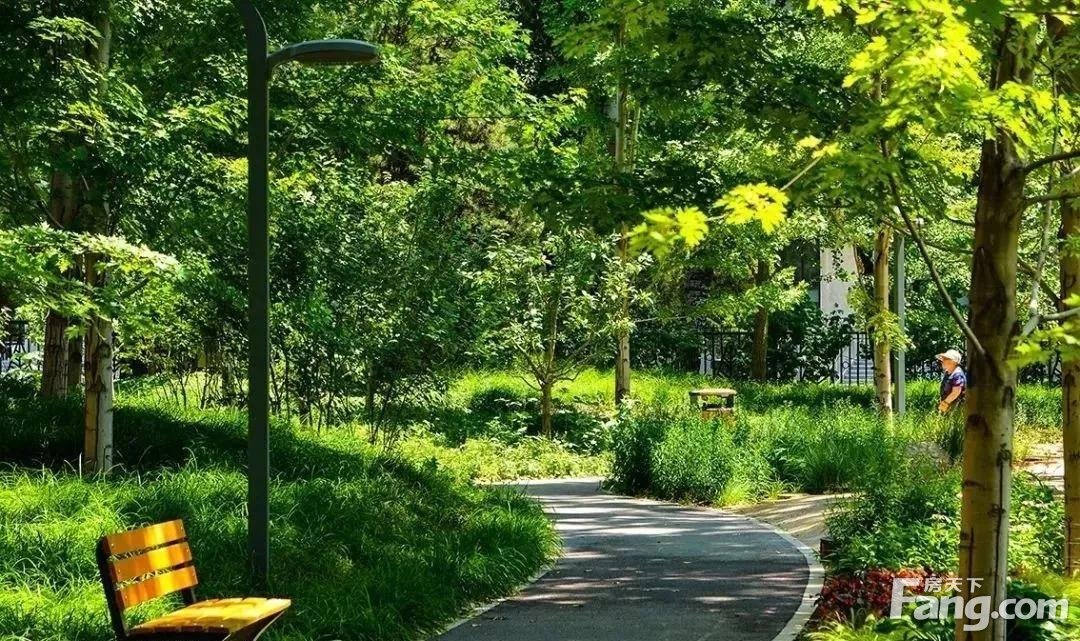 荆门天地2期丨每个公园，都是家的后花园