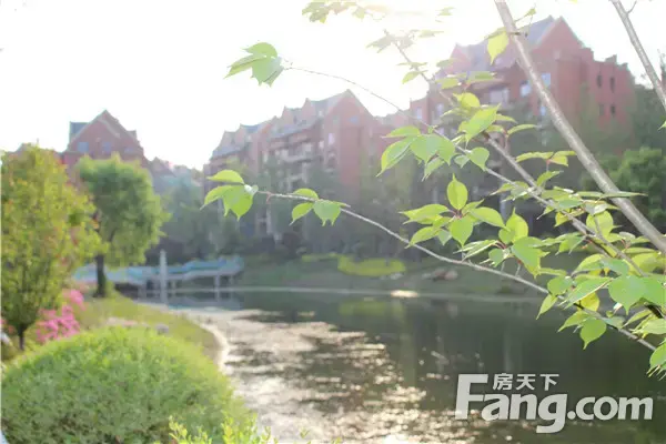 金牛国际,遇见最原始的美