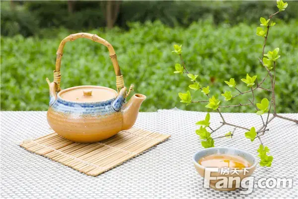 金牛国际,遇见最原始的美