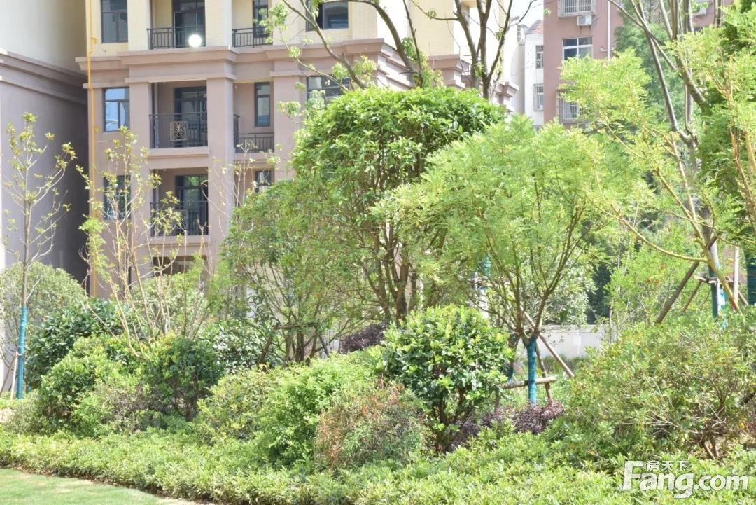 5月看房日记： 仙女湖豪庭绿化已完工！