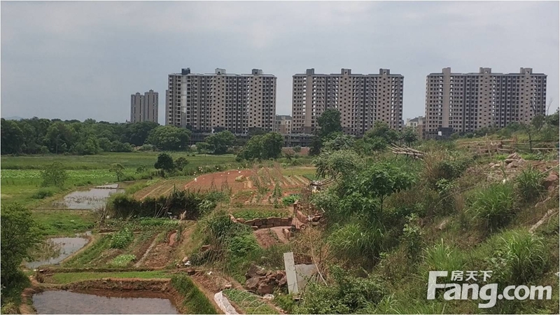 起始总价约6.1亿 鹰潭市6月5日将有一宗住宅用地拍卖！