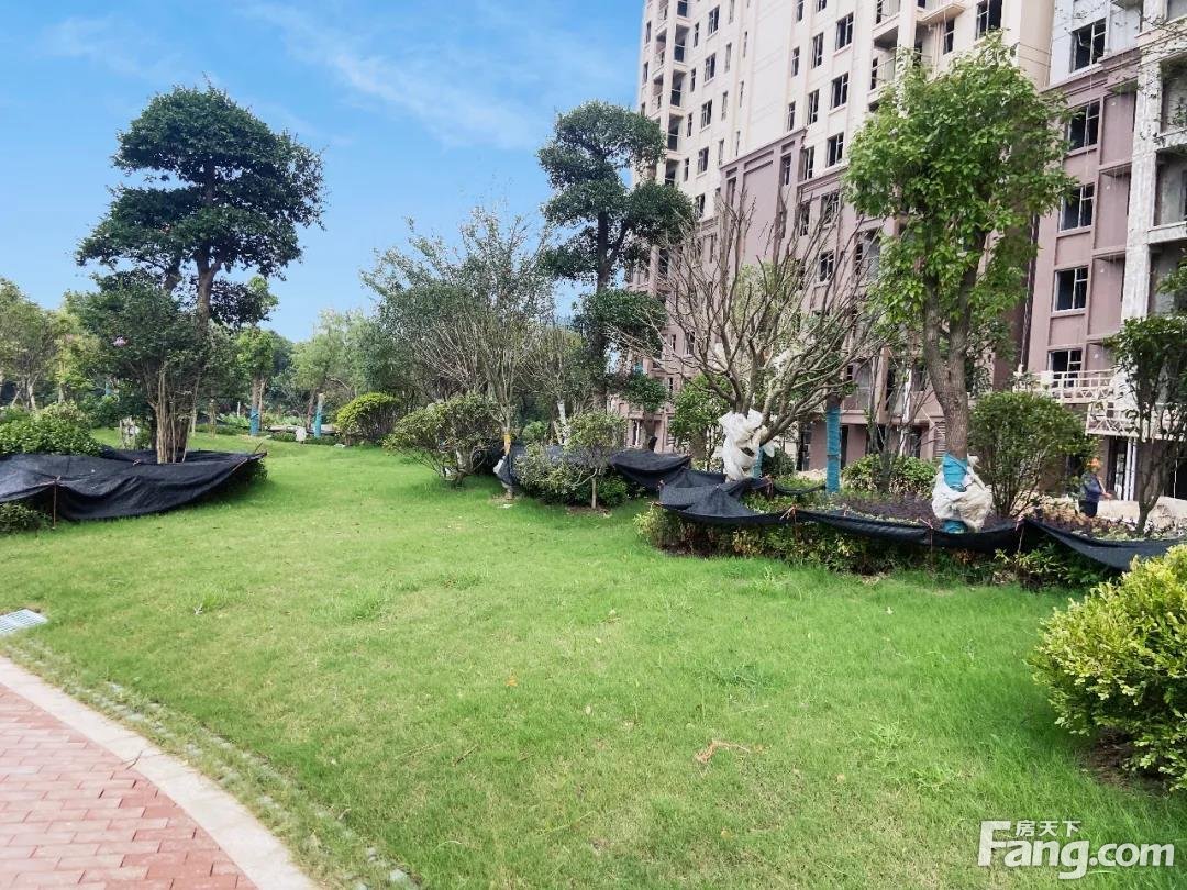 华耀·府东花园8月工程播报 |实景呈现，美好渐入家境！