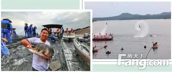 “乘风破浪，鱼跃南湾” 中国南湾湖第八届开渔节圆满落幕！