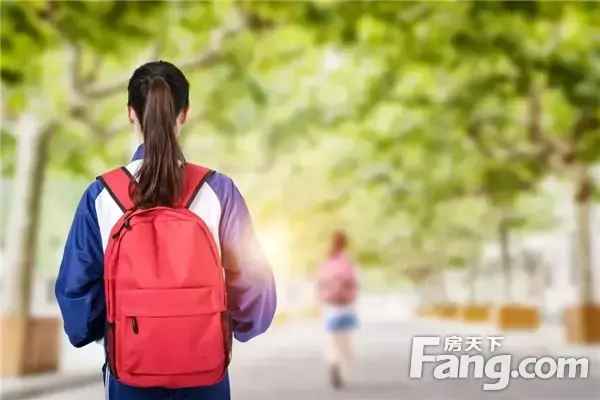 【半山学府】步入教育主场，筑梦向上未来