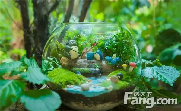 “植”此秋色，悦动半山|半山学府微景观DIY即将开启