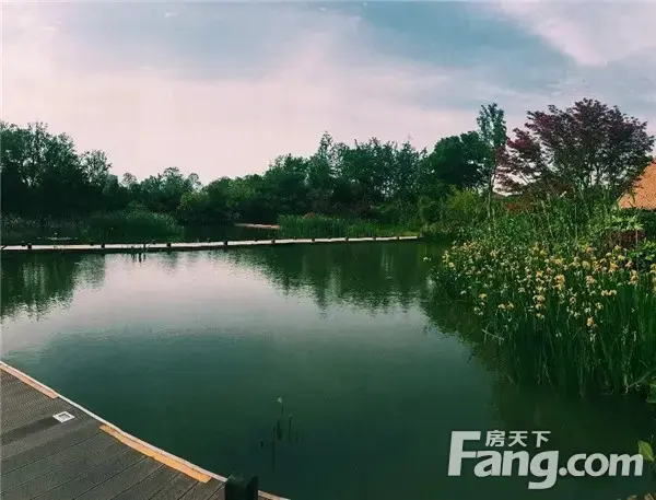 【半山学府】年末Flag消灭计划 | 2020年，你还有什么未完成？