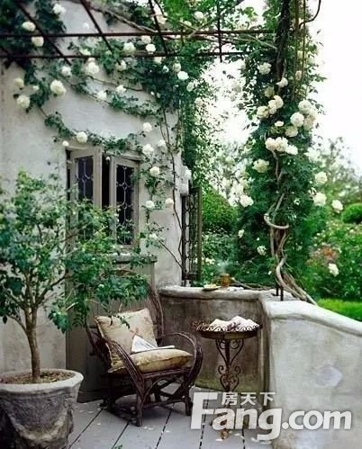 【亲雅苑】| 让阳台变成花园