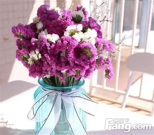 印象湖山|香馨花韵，芳菲时光，女神节带你玩出新“花样”~