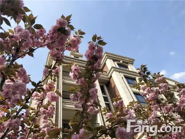 南湾·琨御府| 花都开好了 你还不来么？