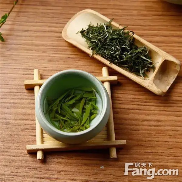 品茗香毛尖 赏琨御府山水