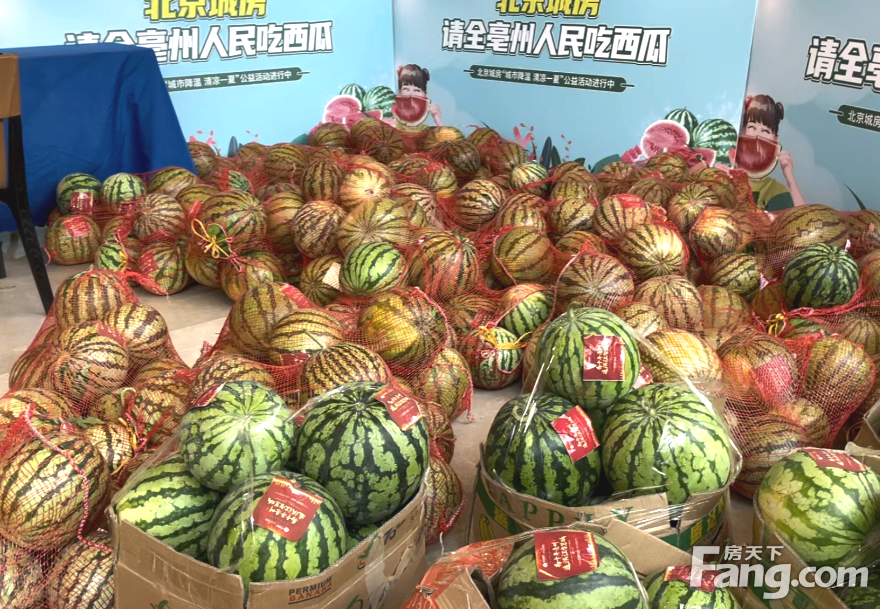亳州买房 就买北京城房丨 消夏福利！北京城房清凉一夏公益行，请全亳州人民吃西瓜！
