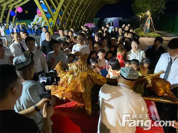 夏日乐翻天！大方城夏浪啤酒节，人气爆棚，疯狂尖叫！