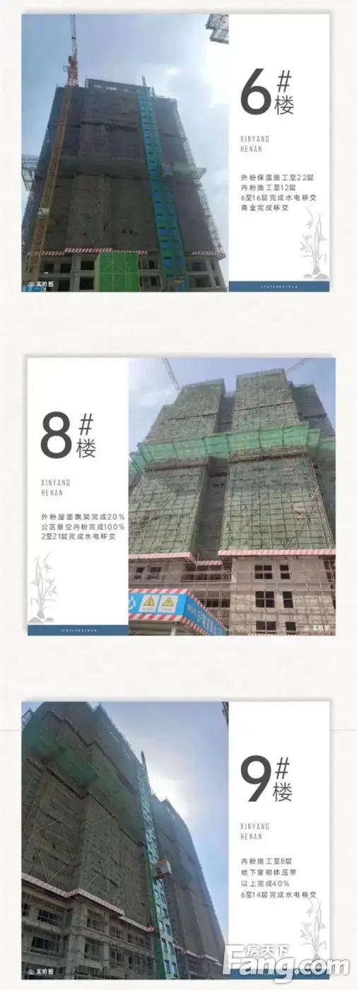 蝉鸣盛夏 家音渐进 | 蓝光·雍锦府6月工程进度播报