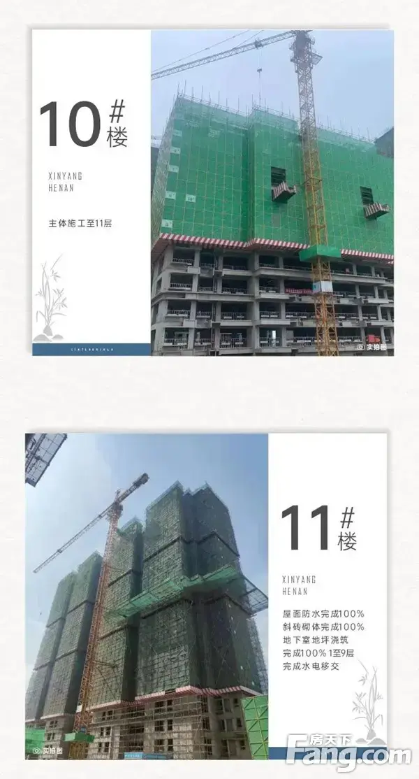 蝉鸣盛夏 家音渐进 | 蓝光·雍锦府6月工程进度播报