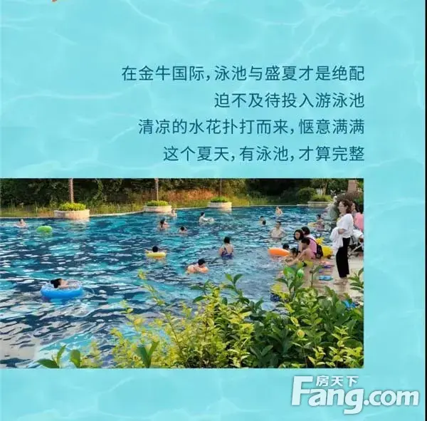 金牛国际社区|千亩湖山尽风华 一池盛开清凉境